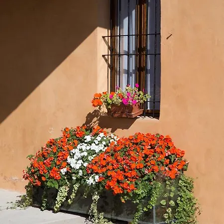Bed & Breakfast Stradivari Cremona