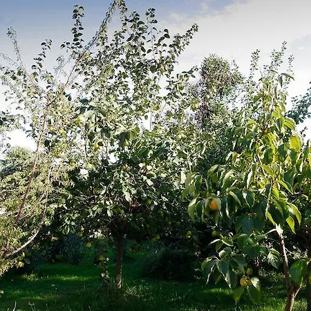 Bed & Breakfast Stradivari